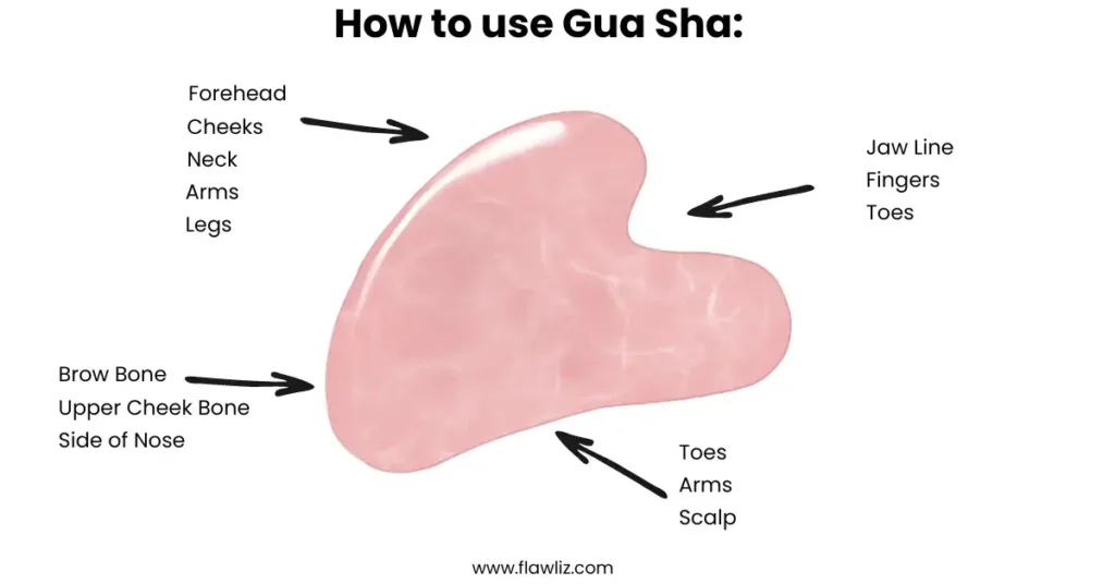 Gua Sha Face Chart